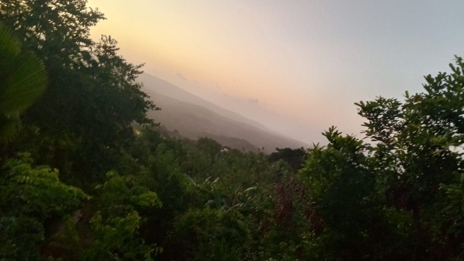 Atardecer entre la vegetación del territorio Mokaná de Guaimaral